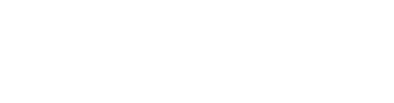 System Verification BC White Logo